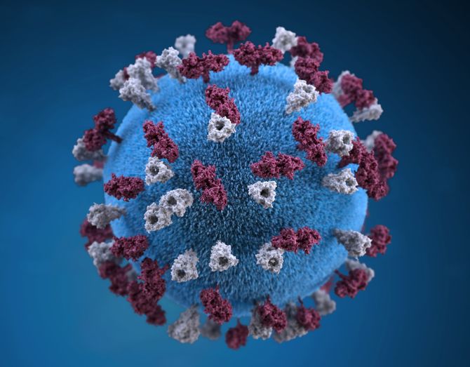 Ein Virus. Bild: CDC on Unsplash